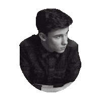 shawn mendes STICKER by imoji