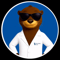 Dibencio GIF by FKM_MX