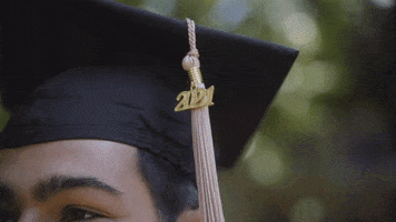 Celebrate South Carolina GIF by University of South Carolina