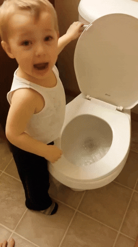 cuteanimalland giphyupload GIF