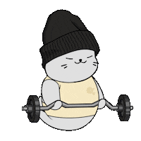 Work Out Fun Sticker by Sappy Seals Community