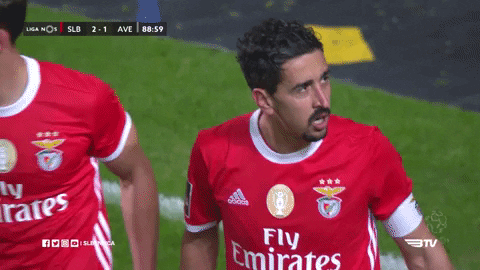 Sl Benfica Point GIF by Sport Lisboa e Benfica