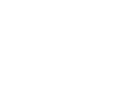 Stars Horse Sticker by Scherenmanufaktur PAUL