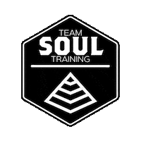 Crossfit Sticker by crossfitsoulmiami