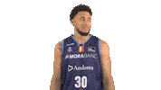 Liga Endesa Basketball Sticker by ACB