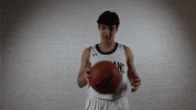 Horse GIF by New Trier Athletics