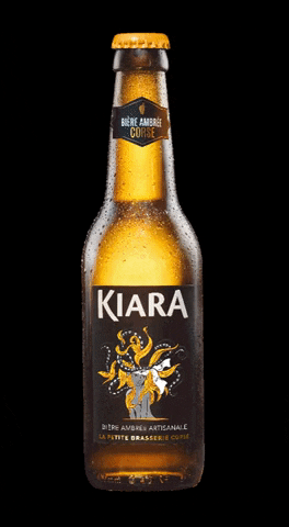 Brasserie_Kiara giphygifmaker beer biere apero GIF