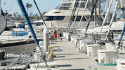 save dat money GIF by Lil Dicky