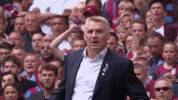 AstonVillaFC happy sports football sport GIF