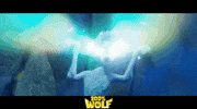 Family Film Disco GIF by Signature Entertainment
