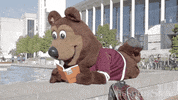 boomer msu GIF by Missouri State University