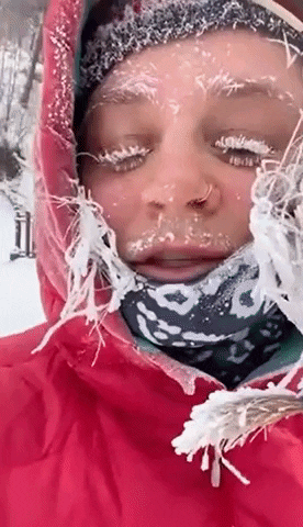 yj_jane giphyupload GIF