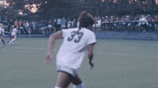 Ncaa Soccer GIF by gamecocksonline