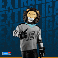 Hockey Vary GIF by Tipsport extraliga