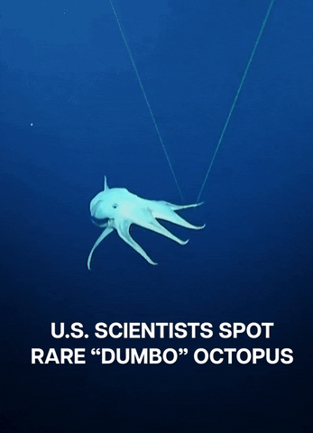 loveeyo giphyupload GIF