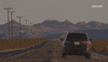 viceland GIF by ABANDONED