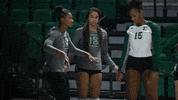 Eastern Michigan University Volleyball GIF by EMU Athletics