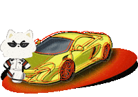 Car Racing Sticker