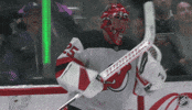 National Hockey League Win GIF by NHL