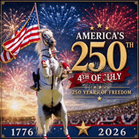 4Th Of July Usa GIF by Primapolo Productions