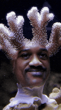 Man Ai GIF
