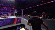 happy best friends GIF by WWE
