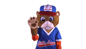 Little League World Series Hello Sticker by Little League International
