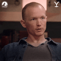 Reaction What GIF by Yellowstone