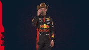 Ver Red Bull GIF by Red Bull Racing