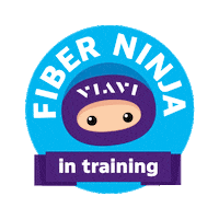 VIAVISolutions partner fiber 5g job done Sticker