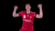 LIQUIMOLY_HBL dance handball jubel tanzen GIF