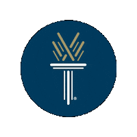 Graduation Nc Sticker by Wake Technical Community College