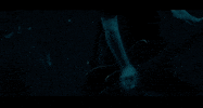 Fire Burning GIF by Pure Noise Records