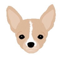 eddiethechihuahua dog face dogs puppy Sticker