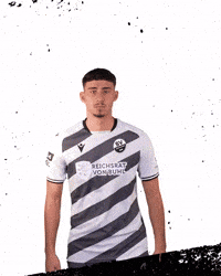 3Liga Wirechtanders GIF by SV Sandhausen