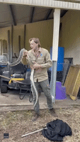 Queensland Snake Catcher Removes 'Pretty Massive' Python From Under Mower