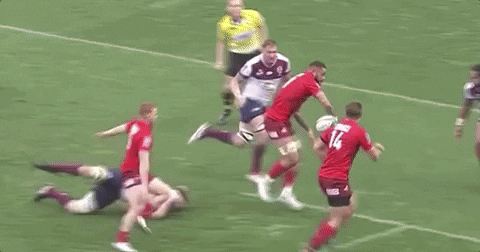 scott higginbottom GIF