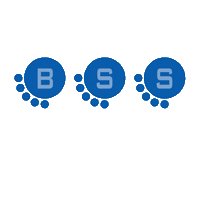 budavari_schonherz_studio bss bsstudio budavarischonherzstudio Sticker