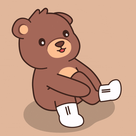 Teddy Bear Socks GIF by BEARISH