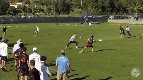 flikulti ultimate frisbee flik GIF