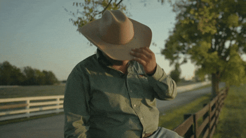 Soul Food 2 The World GIF by Chicken Licken SA