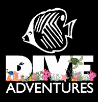 diveadventures travel diving dive scuba GIF