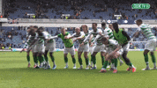 Celtic Fc Win GIF by Celtic Football Club