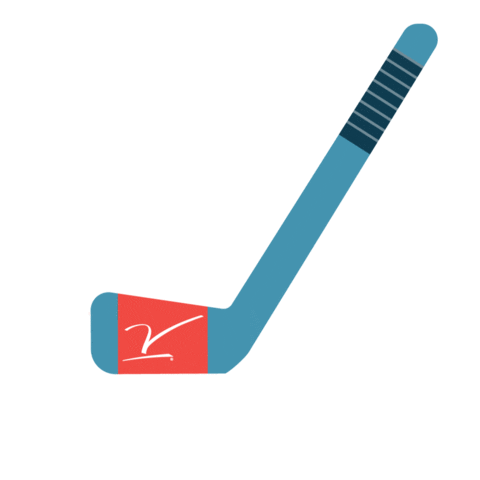 Basketball Hockey Sticker by V Foundation
