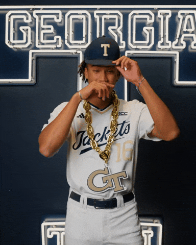 Georgia Tech Baseball GIF by Georgia Tech Yellow Jackets