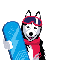skihusky husky skischool krkonose skihusky Sticker