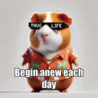 GIF by Guinea Gambino