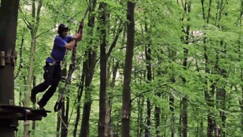 FunForest giphygifmaker GIF