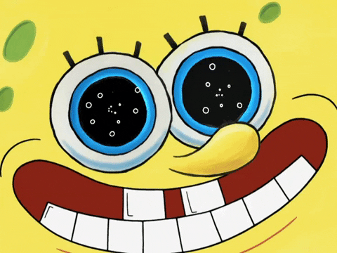 Season 8 GIF by SpongeBob SquarePants