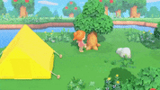 Animal Crossing Switch GIF